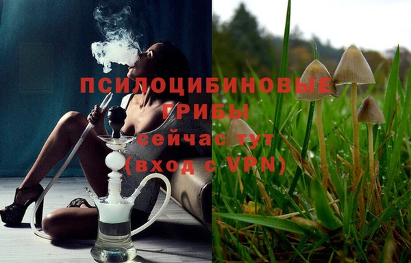 каннабис Снежинск