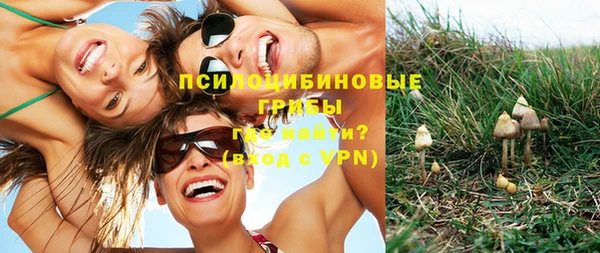 ПСИЛОЦИБИНОВЫЕ ГРИБЫ Беломорск