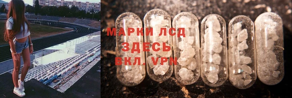 ПСИЛОЦИБИНОВЫЕ ГРИБЫ Беломорск