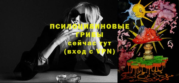 СК Снежногорск